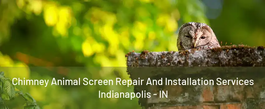 Chimney Animal Screen Repair And Installation Services Indianapolis - IN